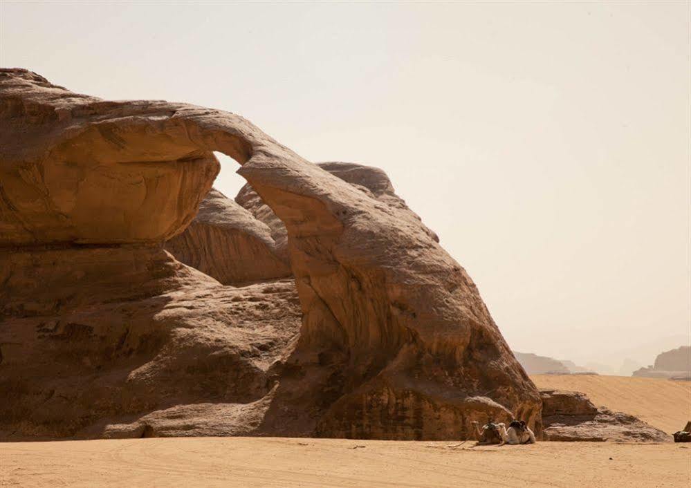 Wadi Rum Caravan Camp Bagian luar foto